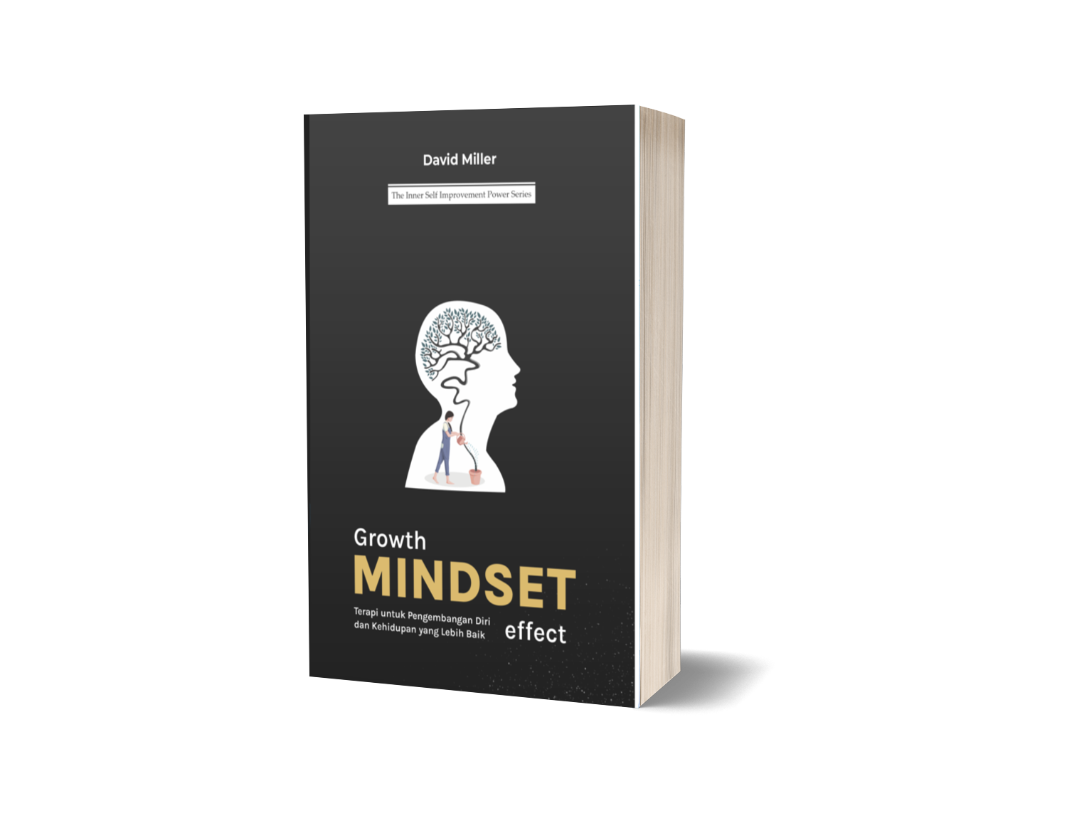 Growth Mindset Effect : Terapi untuk Pengembangan Diri dan Kehidupan yang Lebih Baik – David Miller